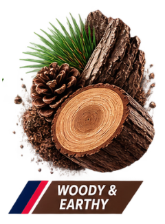 Wood and Earthy nicotine pouches