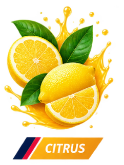 Citrus nicotine pouches